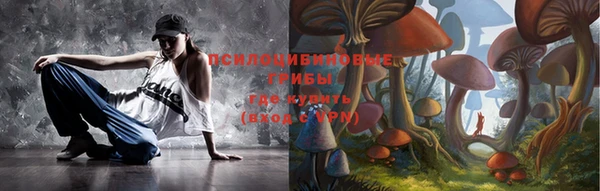 крисы Сясьстрой