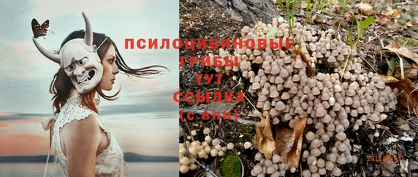 каннабис Тавда