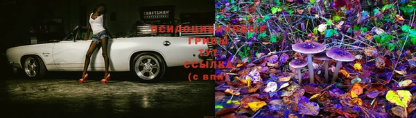 мяу мяу кристалл Тайга