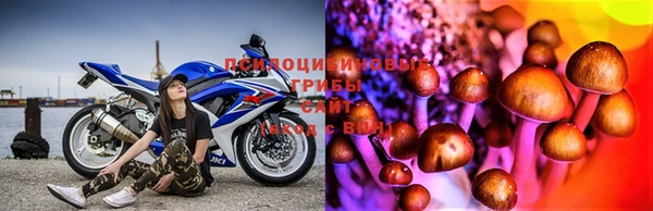 каннабис Тавда