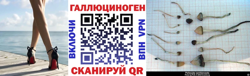 Псилоцибиновые грибы Cubensis  Купить  Полтавская 