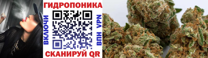 Купить где  Полтавская  Шишки марихуана Ganja 